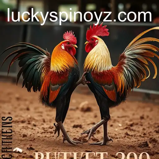 Cockfighting: A Controversial Tradition